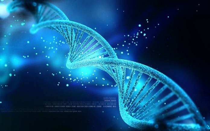 Scientists Develop First Ever Artificial Intelligence Made DNA