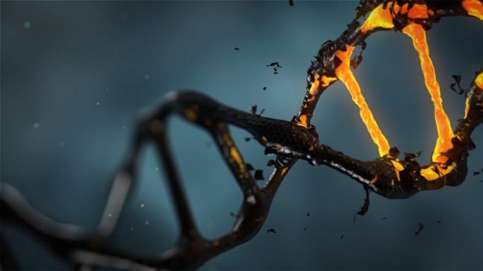 Genomics Secures $25 million to Boost Machine Learning in Genetics
