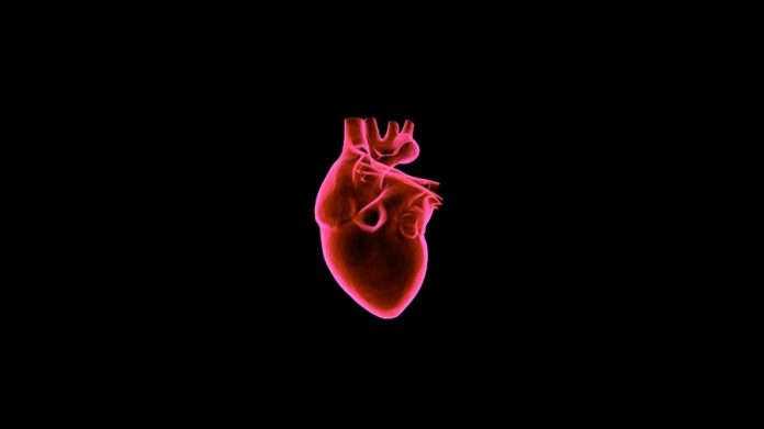 Using Artificial Intelligence in Cardiology